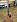 Акустическая гитара Simon & Patrick 028955 Woodland Cedar в музыкальном интернет-магазине Маэстро. Цена 31 190 руб.