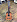 Классическая гитара SIGMA CM-ST в музыкальном интернет-магазине Маэстро. Цена 44 000 руб.