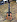 Классическая гитара CORT AC250 NAT в музыкальном интернет-магазине Маэстро. Цена 13 790 руб.