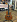 Электроакустическая классическая гитара  CORT CEC5-NAT в музыкальном интернет-магазине Маэстро. Цена 25 500 руб.