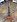 Классическая гитара La Patrie 045457 Concert в музыкальном интернет-магазине Маэстро. Цена 36 790 руб.