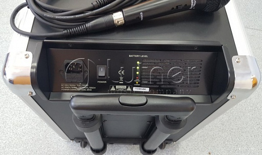 Портативная акустическая система SOUNDKING PA8M с MP3 и микрофоном