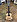 Классическая гитара CORT AC200-OP CLASSIC SERIES в музыкальном интернет-магазине Маэстро. Цена 12 490 руб.
