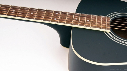 Акустическая гитара с чехлом Parkwood PF51-BKS