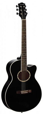 Акустическая гитара Colombo LF-401C/N