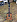Классическая гитара Strunal (Cremona) 977 в музыкальном интернет-магазине Маэстро. Цена 20 090 руб.