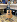 Акустическая гитара BATON ROUGE X11C/D в музыкальном интернет-магазине Маэстро. Цена 23 000 руб.