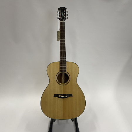 Акустическая гитара с чехлом, Parkwood S22-GT