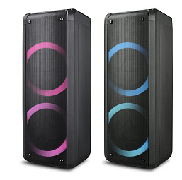 Акустическая колонка ElTronic 20-10 DANCE BOX 300 в музыкальном интернет-магазине Маэстро. Цена 11 900 руб.