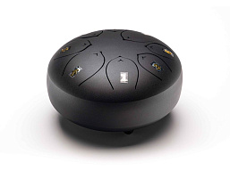 Глюкофон Foix FTD-811F-BK в музыкальном интернет-магазине Маэстро. Цена 4 100 руб.
