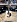 Акустическая гитара 12-струнная Cort Earth70-12-OP Earth Series в музыкальном интернет-магазине Маэстро. Цена 25 300 руб.