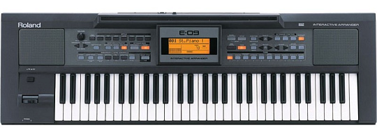 Синтезатор Roland E-09