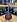 Акустическая гитара Elitaro E4120 RDS в музыкальном интернет-магазине Маэстро. Цена 7 000 руб.