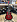 Акустическая гитара ELITARO E4030C RDS в музыкальном интернет-магазине Маэстро. Цена 5 190 руб.