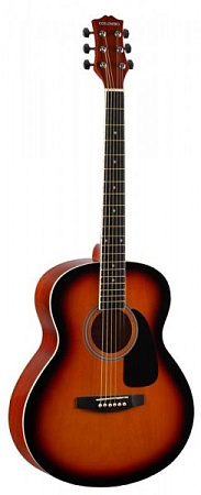 Акустическая гитара Colombo LF-4000SB