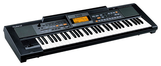 Синтезатор Roland E-09